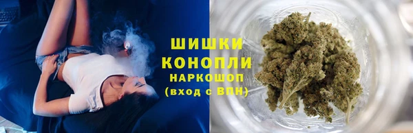 мет Касимов