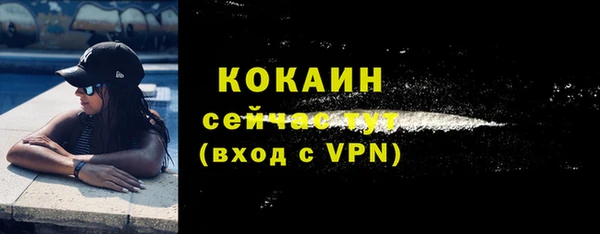 молекула духа Карпинск