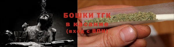 молекула духа Карпинск