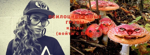 молекула духа Карпинск