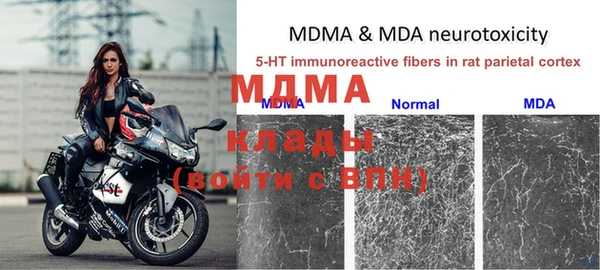 молекула духа Карпинск