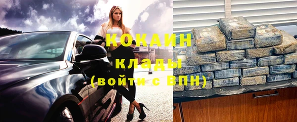 молекула духа Карпинск