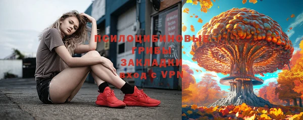 молекула духа Карпинск