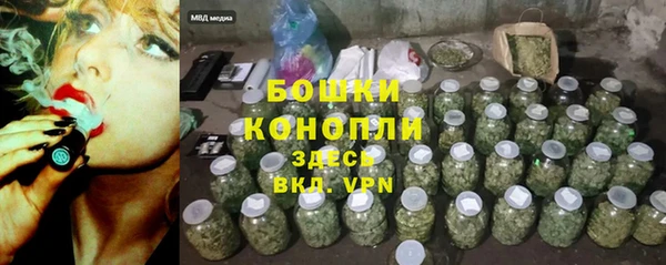 молекула духа Карпинск