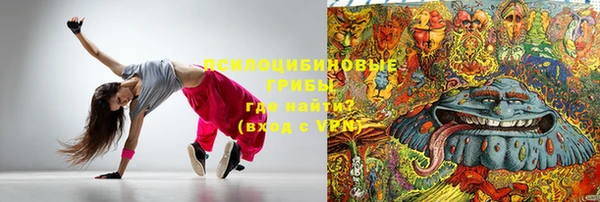 мет Касимов