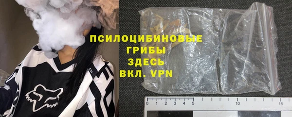 молекула духа Карпинск