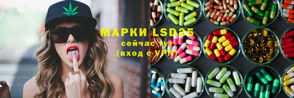 молекула духа Карпинск