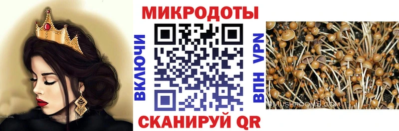 Купить закладки  Кондрово  Псилоцибиновые грибы прущие грибы 