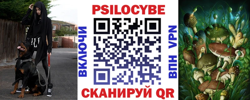 Псилоцибиновые грибы Psilocybe Кондрово